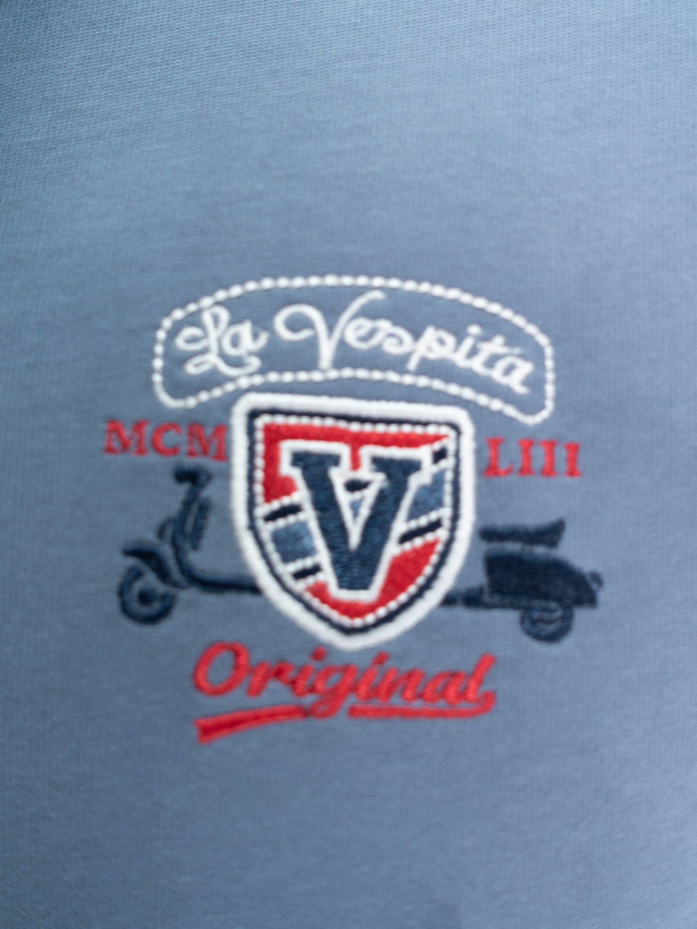 POLO V LA VESPITA GRIS