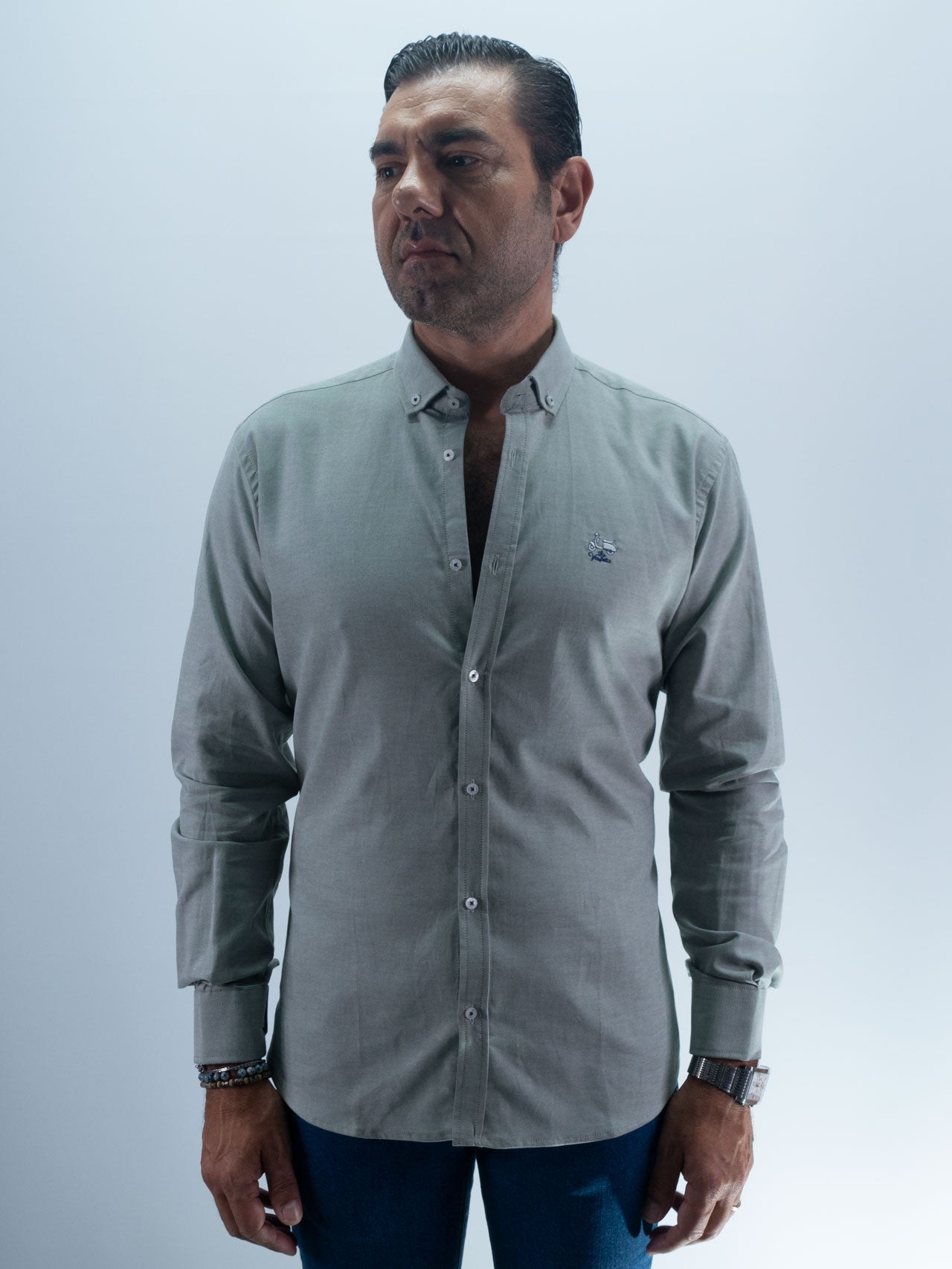 CAMISA OXFORD LA VESPITA VERDE