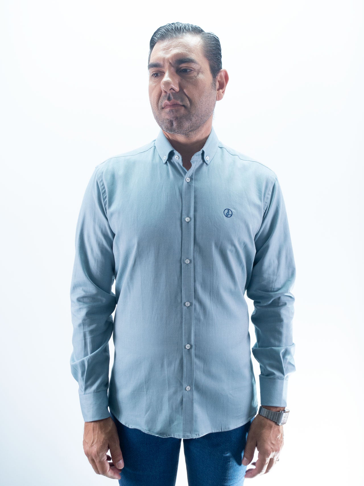 CAMISA LISA KLARK LA VESPITA GRIS CLARO